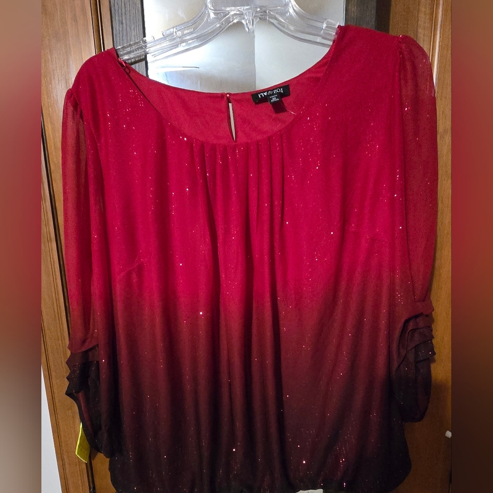 NEW 2XL Roz & ALI Shimmery Blouse
